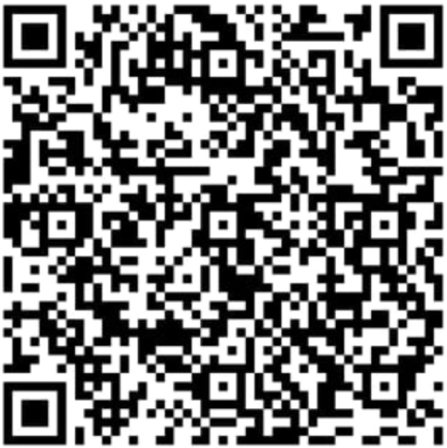 Pix QR code